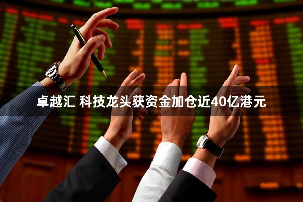 卓越汇 科技龙头获资金加仓近40亿港元
