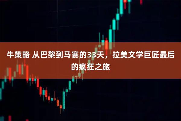牛策略 从巴黎到马赛的33天，拉美文学巨匠最后的疯狂之旅