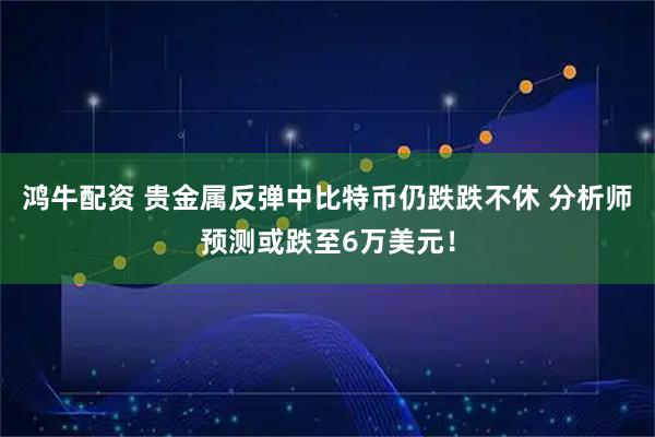 鸿牛配资 贵金属反弹中比特币仍跌跌不休 分析师预测或跌至6万美元！