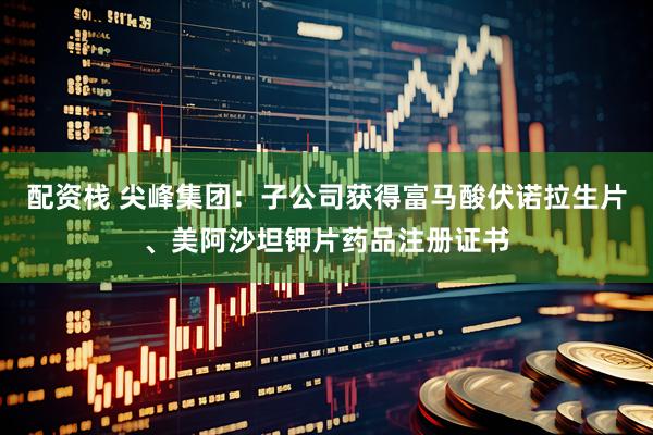 配资栈 尖峰集团：子公司获得富马酸伏诺拉生片、美阿沙坦钾片药品注册证书