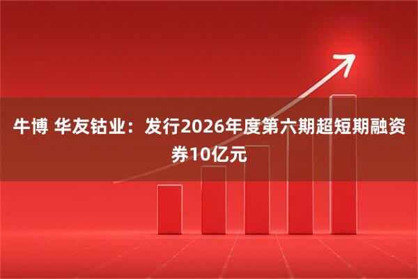 牛博 华友钴业：发行2026年度第六期超短期融资券10亿元