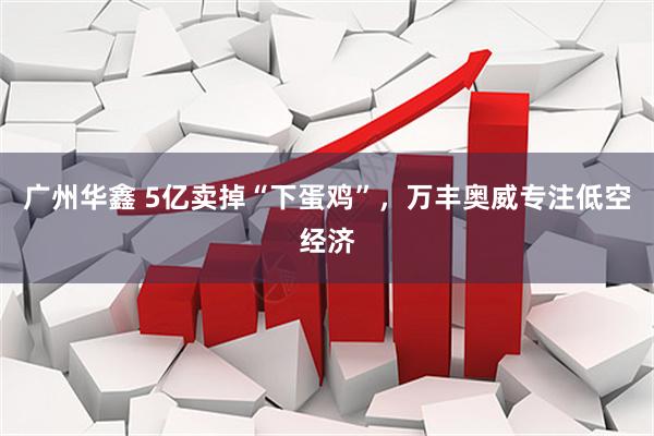 广州华鑫 5亿卖掉“下蛋鸡”，万丰奥威专注低空经济
