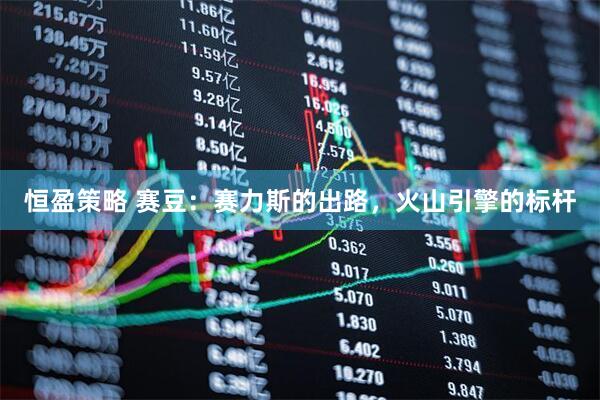 恒盈策略 赛豆：赛力斯的出路，火山引擎的标杆