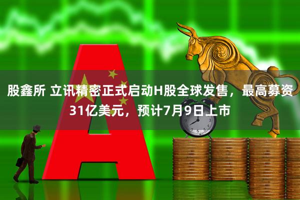 股鑫所 立讯精密正式启动H股全球发售，最高募资31亿美元，预计7月9日上市