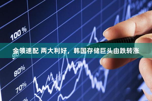金领速配 两大利好，韩国存储巨头由跌转涨